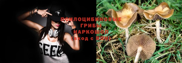 стаф Алексин