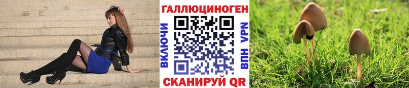 Галлюциногенные грибы ЛСД Мураши